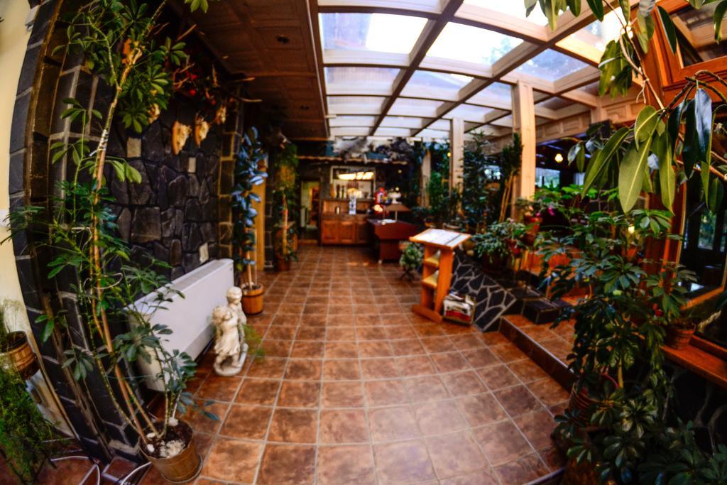 פרדיאל Pension Restaurant Speranta מראה חיצוני תמונה